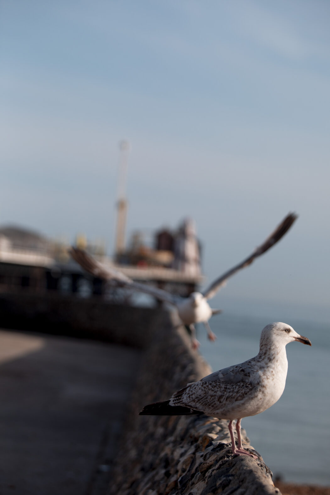 https://d32yfsbcvr2c70.cloudfront.net/content/uploads/2022/05/Saturday_PIER_ATMOS_ChloeH_05-1050x1575.jpg