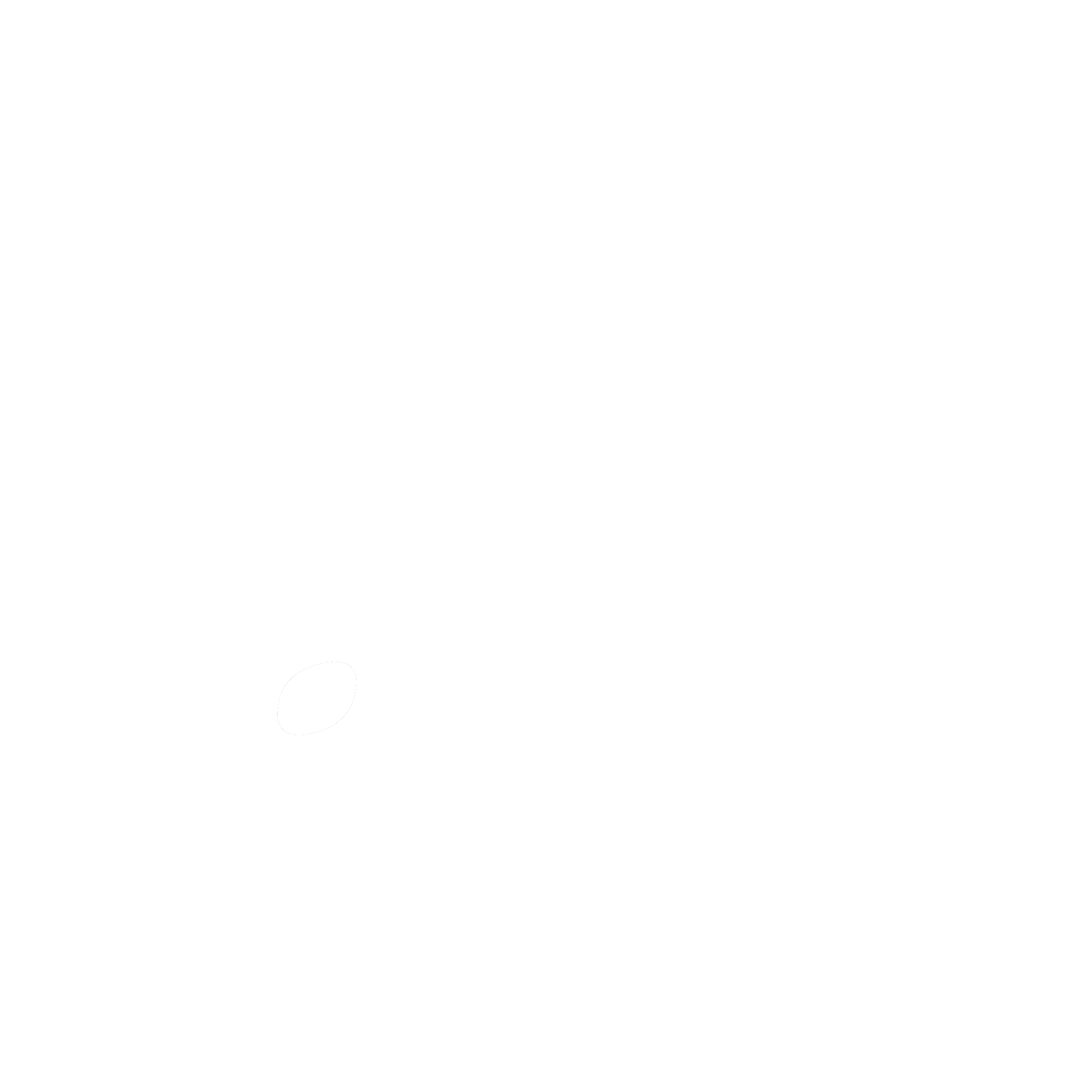 The New Society