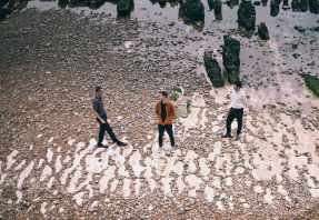 Zola Blood