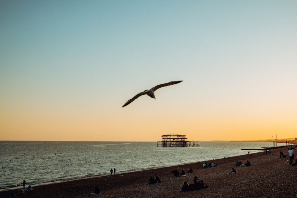 A scenic picture of Brighton beach