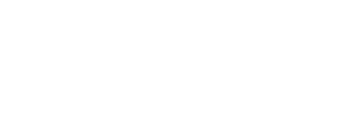 Portuguese Discovery